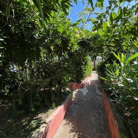 Le Rateau Bavoir Calvi  Extérieur photo